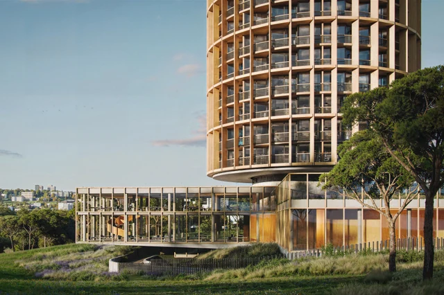 NS Studio Concept: 3D Visualization, Animation, 2024